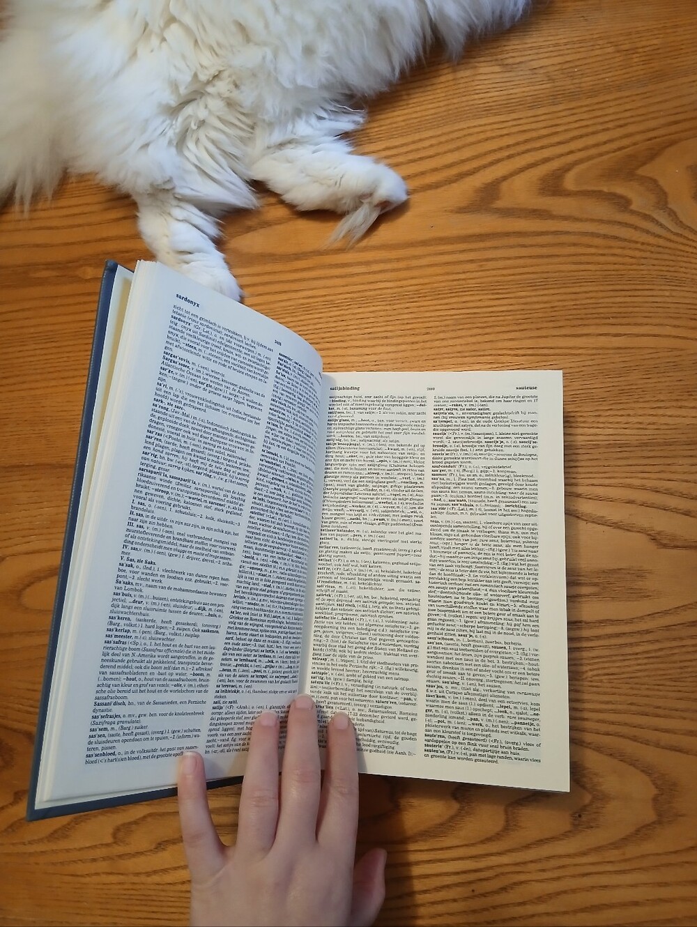 Vintage 1984 Van Dale Groot Woordenboek Hardcover Dutch Dictionary Vol 3 S-Z - Picture 4 of 16